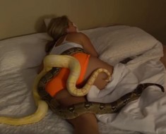 zmije-krevet